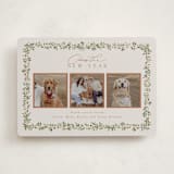 "Laurel Garland" - Holiday Cards in Mulled Wine by Everett Paper Goods - Front