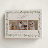 "Laurel Garland" - Holiday Cards in Mulled Wine by Everett Paper Goods - Folded Card