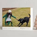 "Minimal Edge" - Holiday Cards in Evergreen by Nicole Walsh - Folded Card