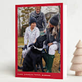 "perfect pic" - Holiday Cards in Holly by Carolyn Nicks - Folded Card