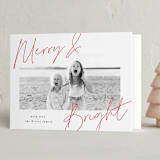 "Signed" - Holiday Cards in Holly Berry by AK Graphics - Folded Card
