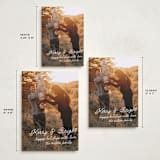 "Notes" - Holiday Cards in Snow by AK Graphics - Formats Available