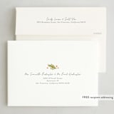 "Travel Greetings" - Holiday Cards in Coconut by Meggy Masters - FREE Recipient Addressing