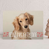 "naughty dog" - Holiday Cards in Fire Engine by Erin Deegan - Front