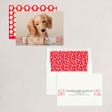 "naughty dog" - Holiday Cards in Fire Engine by Erin Deegan - Assembled