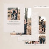 "FRILLS" - Holiday Cards in Taupe by Melanie Kosuge - Back of Card Options