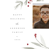"Wisps" - Holiday Cards in Snow by Robert and Stella - Detail
