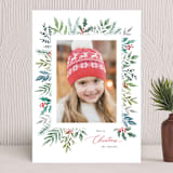 "snowy frame" - Holiday Cards in Berry by Jana Volfova - Front