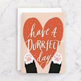 "Pawsitively Purrfect" - Single Greeting Cards in Papaya by Everett Paper Goods - Front