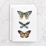 "Butterfly Watercolors" - Single Greeting Cards in Butterfly wing black by Lauren Rogoff - Front