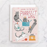 "Kitten Caboodle" - Single Greeting Cards in Rose by Everett Paper Goods - Front