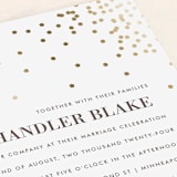 "Thrilling" - Wedding Invitations in Snow by Design Lotus - Detail