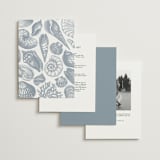 "Seashore" - Wedding Invitations in Coast by Kelly Schmidt - Back of Card Options