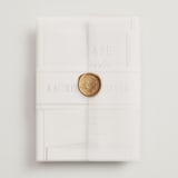"Side Stripe" - Wedding Invitations in Pearl by Nicole Walsh - Assembled with Vellum Wrap and Wax Seal