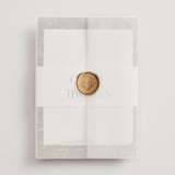 "Overlay" - Wedding Invitations in Silk by Kelly Schmidt - Assembled with Vellum Wrap and Wax Seal