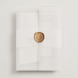 "Effervescent" - Wedding Invitations in Dove by Meggy Masters - Assembled with Vellum Wrap and Wax Seal