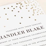 "Thrilling" - Wedding Invitations in Snow by Design Lotus - Close-Up
