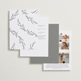 "Branched" - Wedding Invitations in Chiffon by Brianne Larsen - Back of Card Options