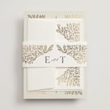 "Baroque" - Wedding Invitations in Cream by Jen Owens - Assembled with Belly Band