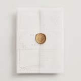 "Intertwined" - Wedding Invitations in Pearl by Janean Hinger - Assembled with Vellum Wrap and Wax Seal