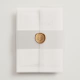 "Simple Lines" - Wedding Invitations in Snow by Michelle Taylor - Assembled with Vellum Wrap and Wax Seal