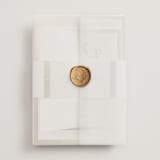 "Surround" - Wedding Invitations in Sand by Nicole Walsh - Assembled with Vellum Wrap and Wax Seal