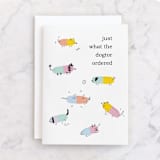 "Pupscription" - Single Greeting Cards in Snow by Catherine Culvenor - Front
