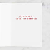 "Coolest Cat" - Single Greeting Cards in Sky by Shirley Lin Schneider - Interior