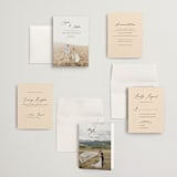 "un mariage photographique" - Wedding Invitations in Mocha by Benita Crandall - Invitation Suite