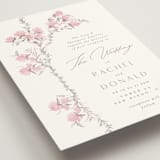 "butter blossoms" - Wedding Invitations in Posie by Phrosné Barwood - Detail