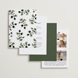 "green rush" - Wedding Invitations in Snow by Anupama - Back of Card Options