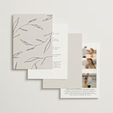 "Waldorf" - Wedding Invitations in Taupe by Kelly Schmidt - Back of Card Options