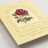 "Enchanted Rose from Disney's Beauty & The Beast" - Wedding Invitations in Mimosa by Leah Bisch - Detail