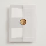 "The Ultimate After Party" - Wedding Invitations in Fog by Becky Nimoy - Assembled with Vellum Wrap and Wax Seal