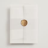 "Cadence" - Wedding Invitations in Ivory by Jennifer Wick - Assembled with Vellum Wrap and Wax Seal