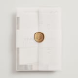 "contemporary photo" - Wedding Invitations in Cloud by Erin Deegan - Assembled with Vellum Wrap and Wax Seal