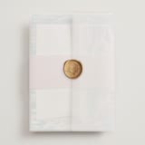 "Glisten" - Wedding Invitations in Rose Quartz by Sam Dubeau - Assembled with Vellum Wrap and Wax Seal