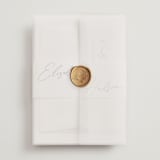 "Macaron" - Wedding Invitations in Snow by Nicoletta Savod - Assembled with Vellum Wrap and Wax Seal