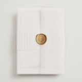 "Mountainview" - Wedding Invitations in Pewter by Sarah Brown - Assembled with Vellum Wrap and Wax Seal