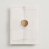 "A wedding in Low Country" - Wedding Invitations in Rose by Chris Griffith - Assembled with Vellum Wrap and Wax Seal