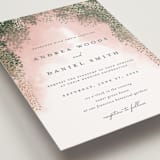 "veil sweet" - Wedding Invitations in Blush by Cass Imagines - Close-Up