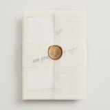 "Courthouse" - Wedding Invitations in Butter by Studio Suku - Assembled with Vellum Wrap and Wax Seal