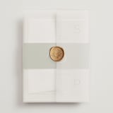 "Swoon" - Wedding Invitations in Lemongrass by Sam Dubeau - Assembled with Vellum Wrap and Wax Seal