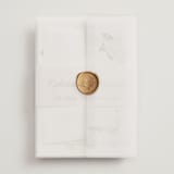 "Felicity" - Wedding Invitations in Pearl by Leah Bisch - Assembled with Vellum Wrap and Wax Seal