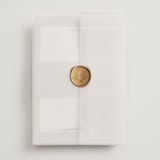 "wellness" - Wedding Invitations in Vineyard by Sumak Studio - Assembled with Vellum Wrap and Wax Seal
