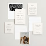 "Classically Elegant" - Wedding Invitations in Snow by Brandy Folse - Invitation Suite