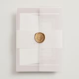 "Chantilly" - Wedding Invitations in Dusty Rose by Erica Krystek - Assembled with Vellum Wrap and Wax Seal