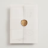 "Script and Monogram" - Wedding Invitations in Sand by Carolyn MacLaren - Assembled with Vellum Wrap and Wax Seal