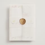 "Romantic Tropical Wedding" - Wedding Invitations in Blush by Emily Miranda - Assembled with Vellum Wrap and Wax Seal