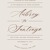 "Streamlined" - Wedding Invitations in Nutmeg by Nicole Barreto - Close-Up